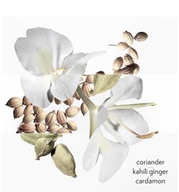 Ein Garten Nach dem Monsun - Eau de Toilette